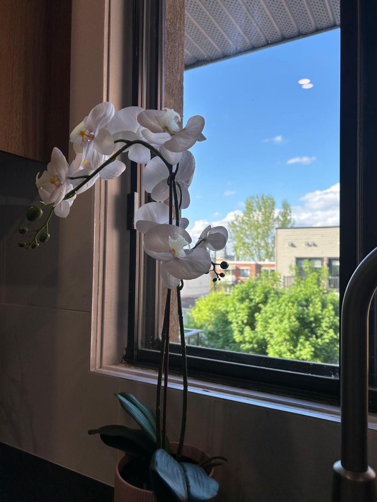 Orchid Lodgement Montreal Luaran gambar
